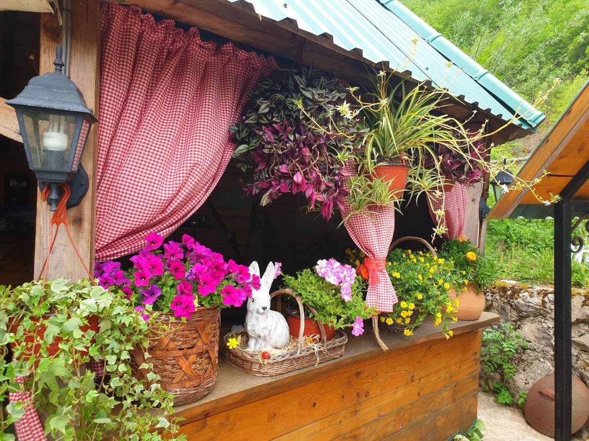 Kamp Vrbnica Hotel Plužine Exterior foto
