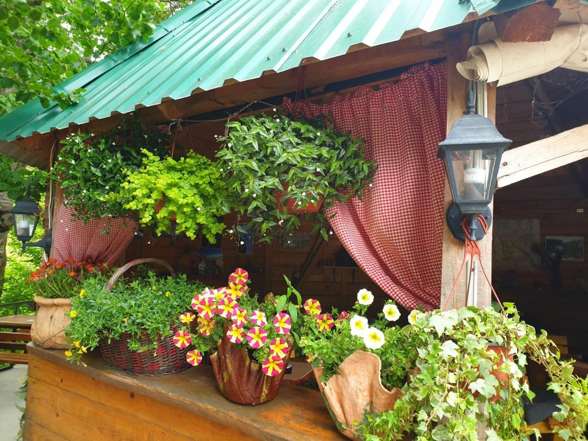 Kamp Vrbnica Hotel Plužine Exterior foto
